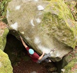 "Chris-Schulte-Realist"