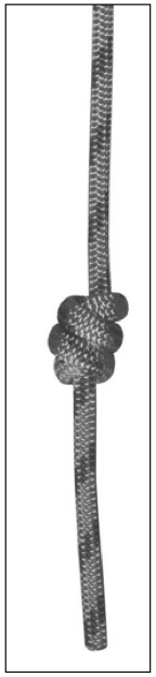Stopper knot photo Double fisherman's stopper knot.