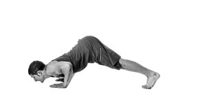 Dolpine-Pushup-Circuit-300 Dolpine-Pushup-Circuit-300