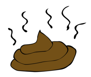 Poo-300x253 Poo