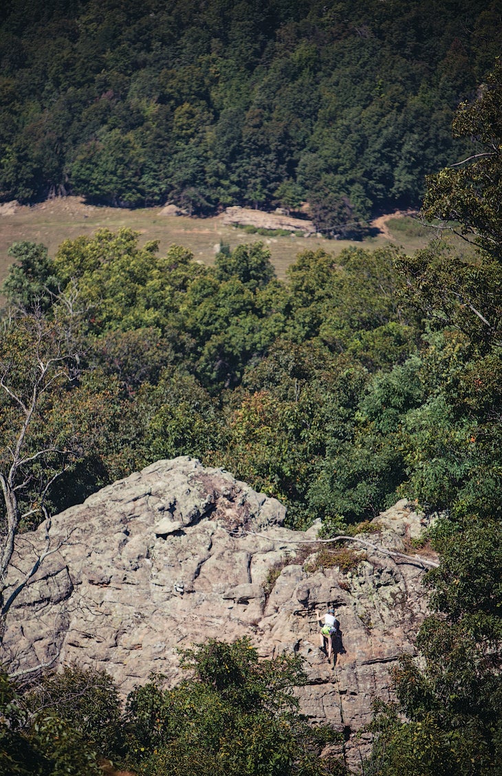 20130927_24HHH0222_gn-web.jpg None