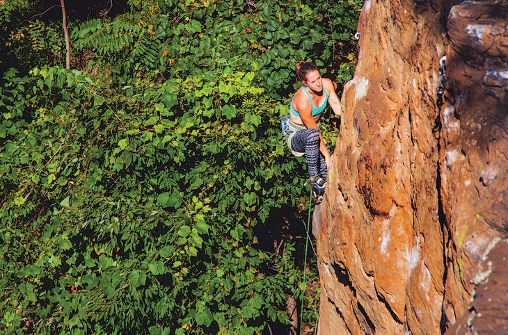 20140927_24HHH0593_gn-web.jpg None