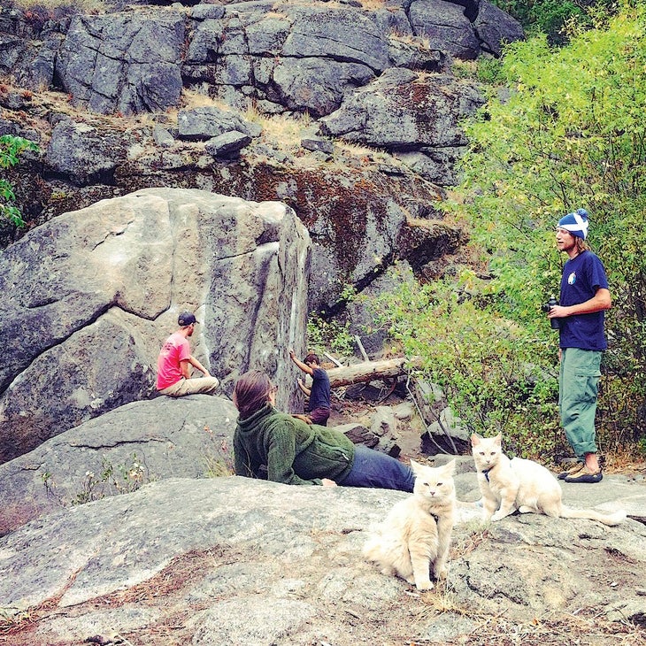 catmeans_gn-web.jpg Crag Cat Rock Climbing Adventure Pet