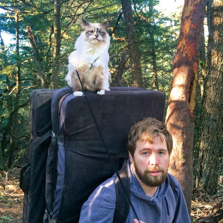 lacyloutaylor_gn-web.jpg Crag Cat Rock Climbing Adventure Pet