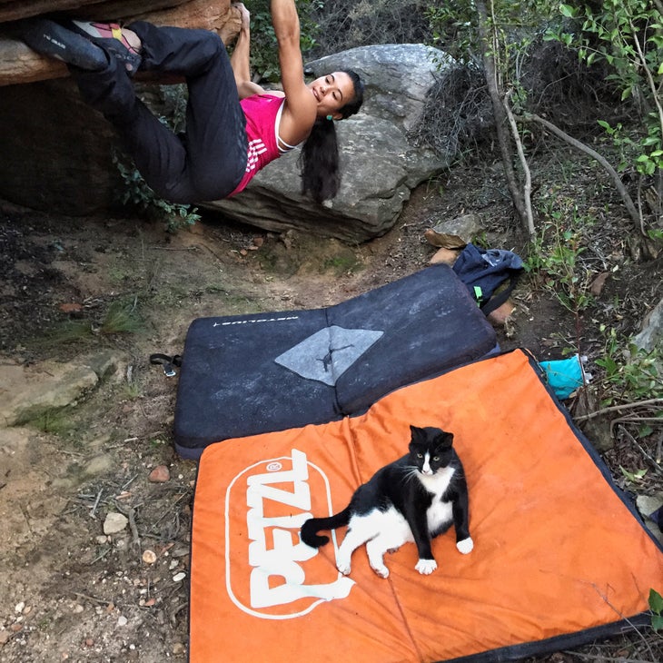 NinaWilliams.jpeg-web.jpg Crag Cat Rock Climbing Adventure Pet