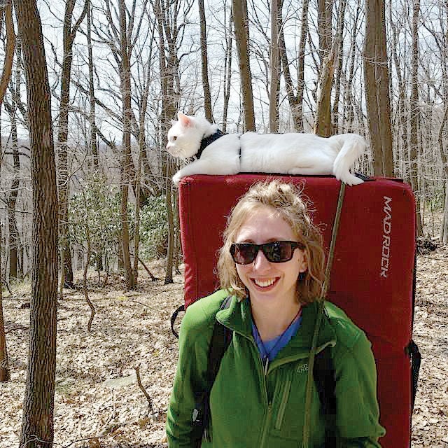 sugaraeray_gn-web.jpg Crag Cat Rock Climbing Adventure Pet