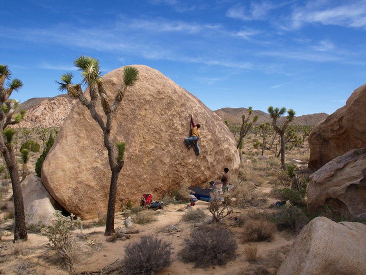 106118107_medium_720241 copy.jpg trad destinations Joshua Tree