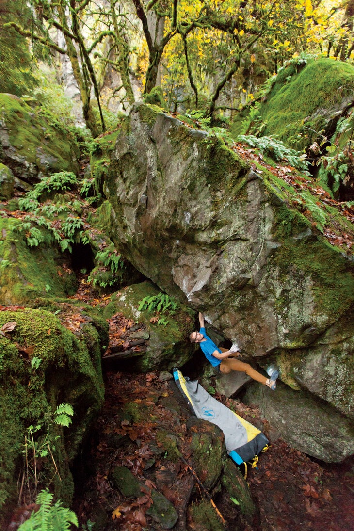 2015-oregon-8267_gn copy.jpg None