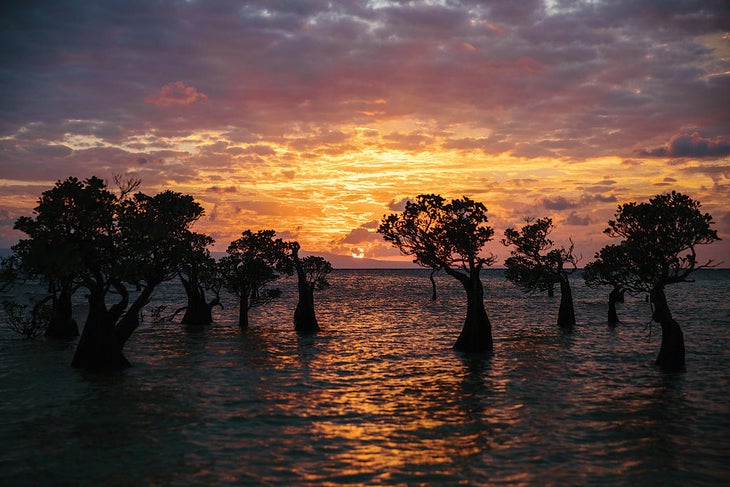 yeehawdonkey_indo_oru_-443_gn-web beach sunset East Sumba Indonesia Landscape ocean