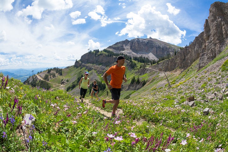 ProRunner_Eric-Orton-RunningFieldofFlowers None