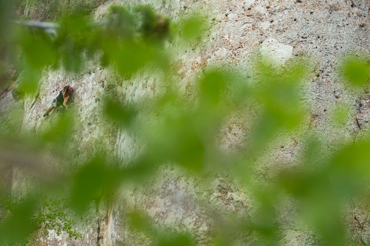 08 burr071716_305 None