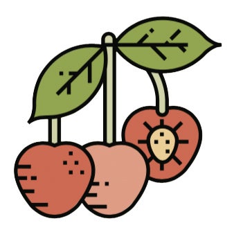 Cherry None