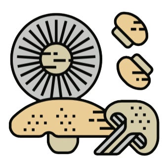 Mushrooms None