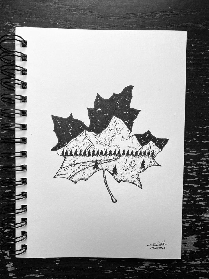 20200826-Maple Leaf-web None