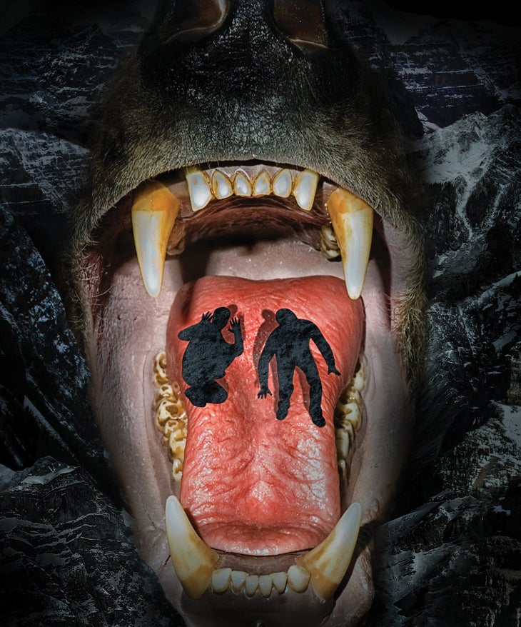 grizzly-walk-final_web None
