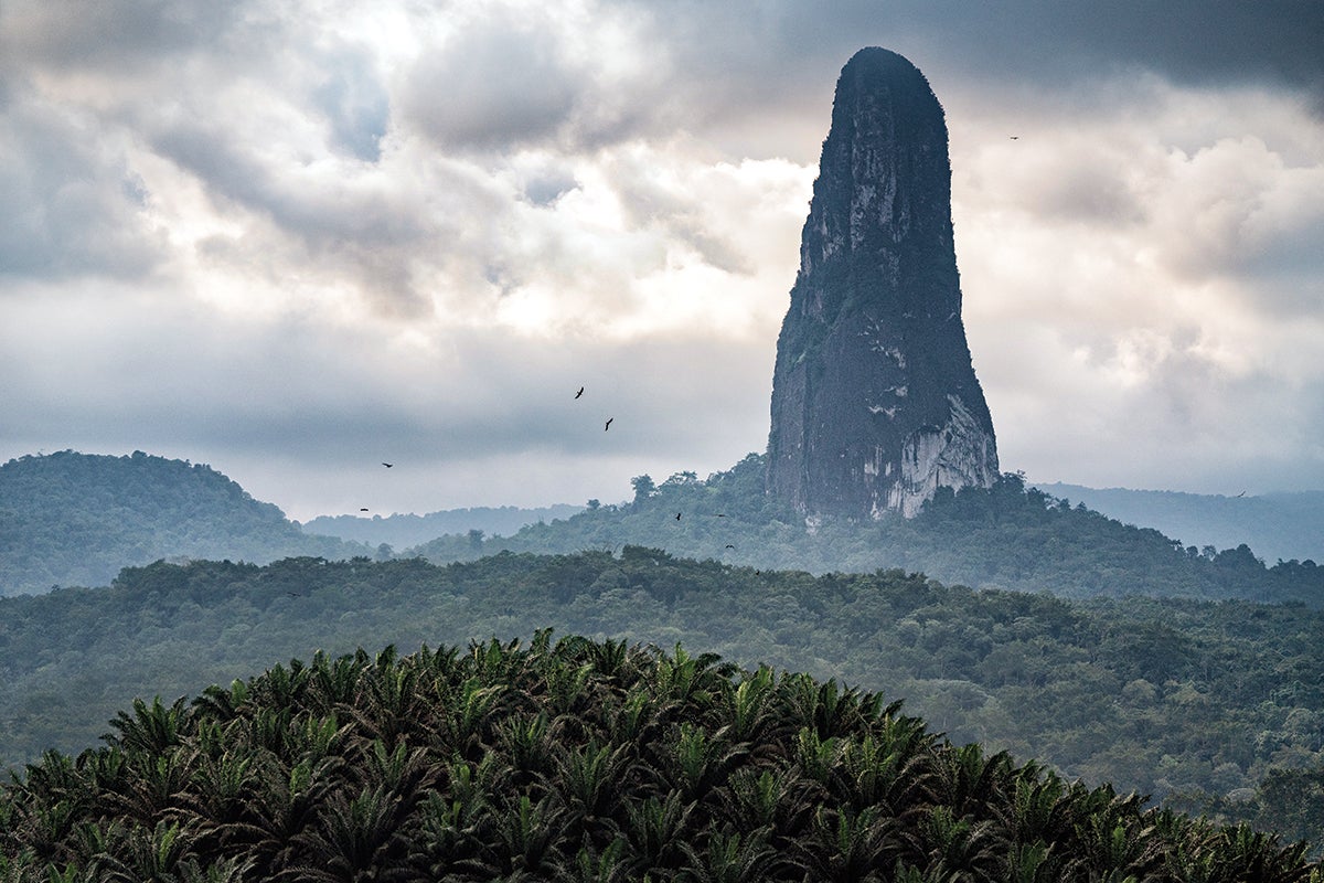 Pico Cão Grande, 1,200 feet of jungle limestone on the island of São Tomé in the Gulf of Guinea, off Africa’s west central coast. The remote tower went from being of little interest to climbers to seeing multiple attempts and ascents in recent years. 