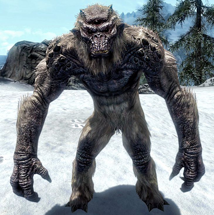 Skyrim video game