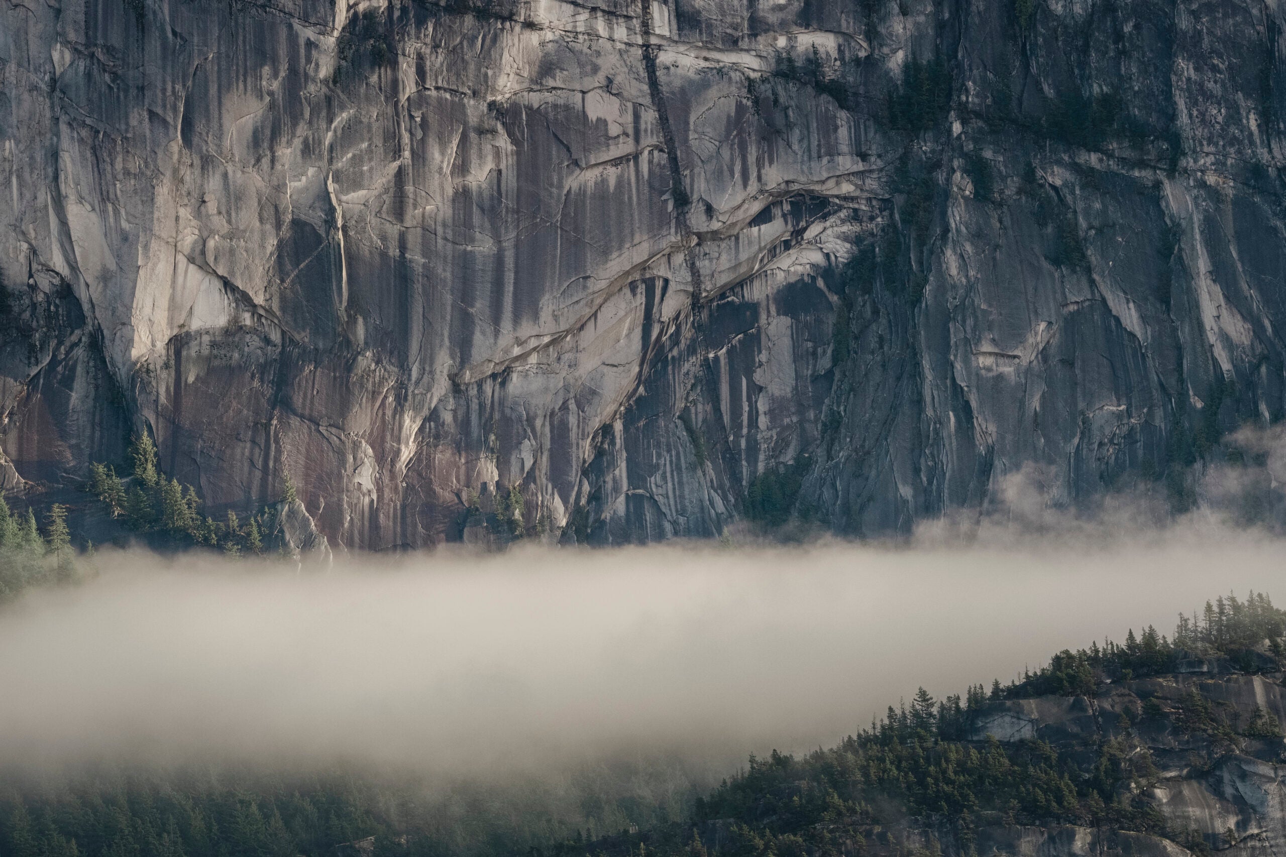 Part of Squamish's Stawamus Chief shrouded in clouds. Stanhope's "Heavy Fuel" is found in the Western Dihedrals, right of centre.