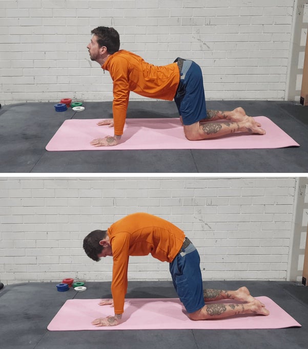 Cat-cow stretch pose