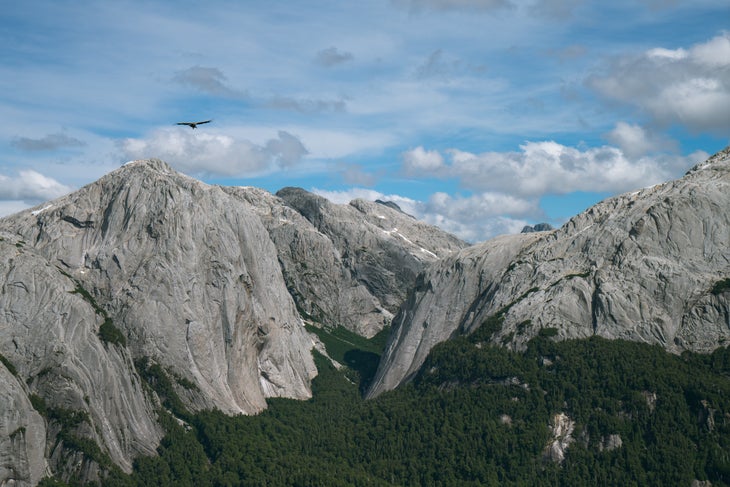A condor circles above with Cochamo Valley below. Chile.