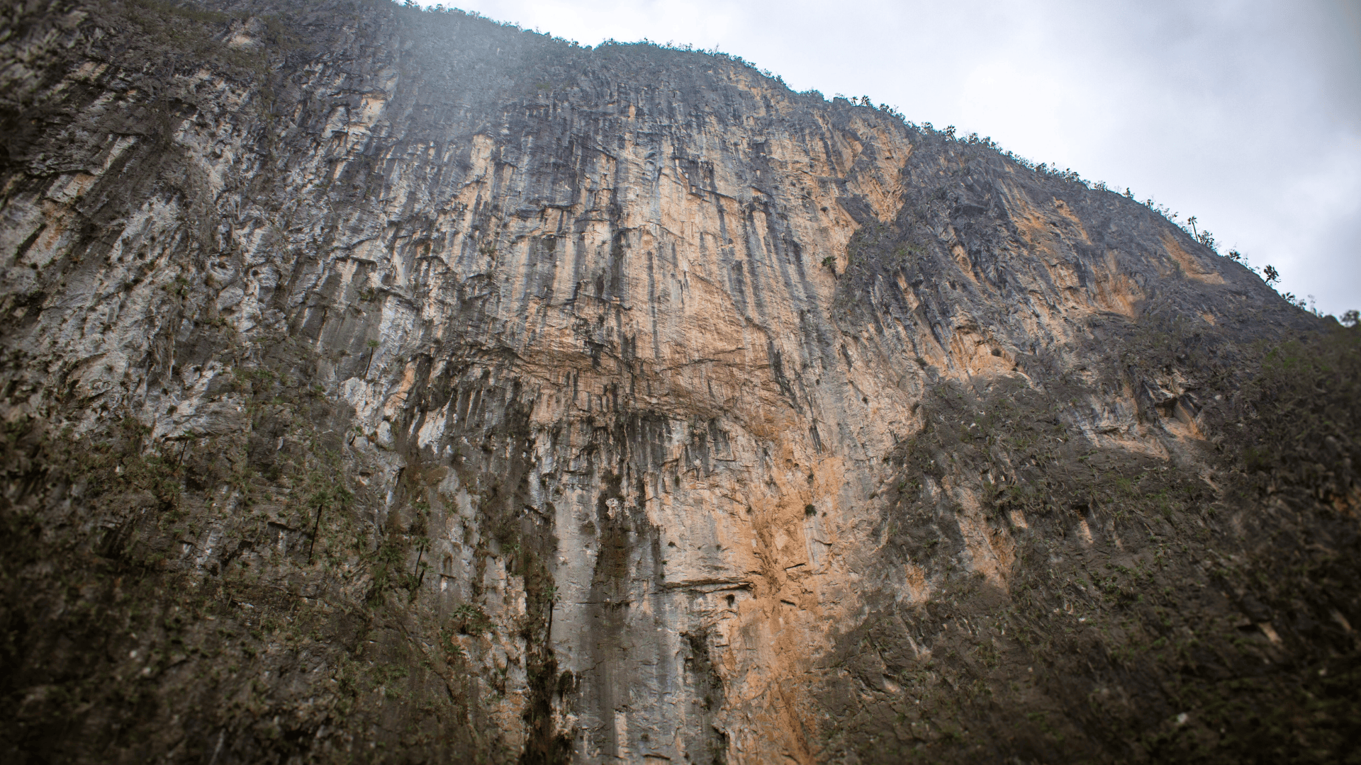 A view of La Pared del Chamán from the ground, home to the hardest multi-pitch climb in Mexico.